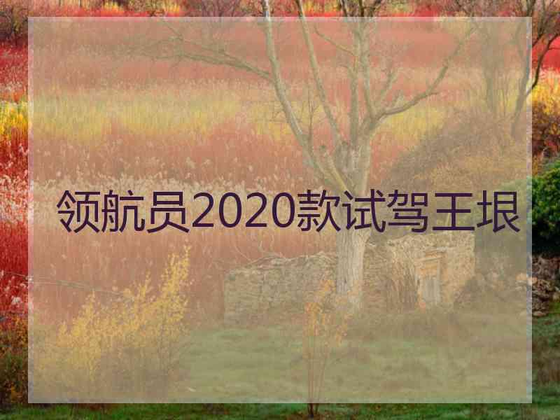 领航员2020款试驾王垠