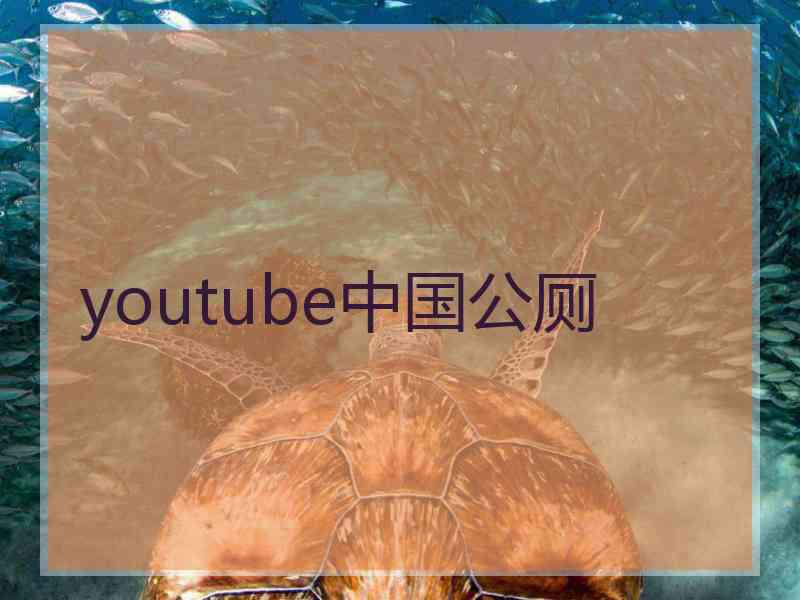 youtube中国公厕