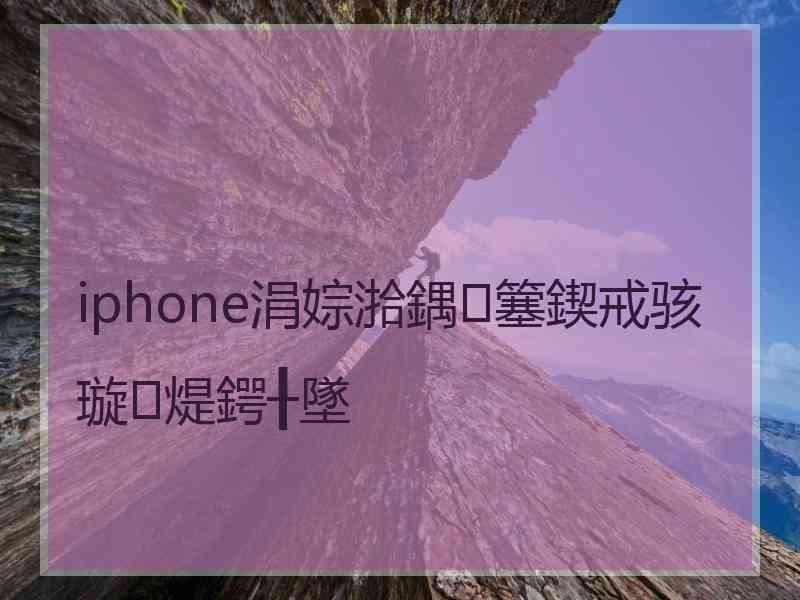 iphone涓婃湁鍝簺鍥戒骇璇煶鍔╂墜