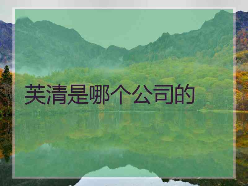 芙清是哪个公司的