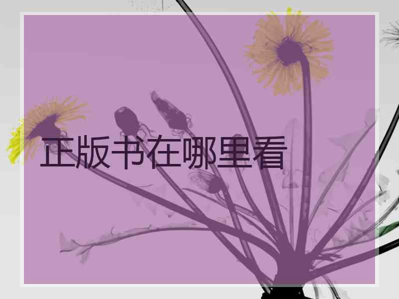 正版书在哪里看
