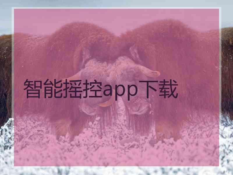 智能摇控app下载