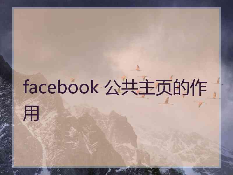 facebook 公共主页的作用