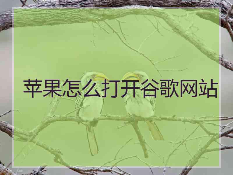 苹果怎么打开谷歌网站