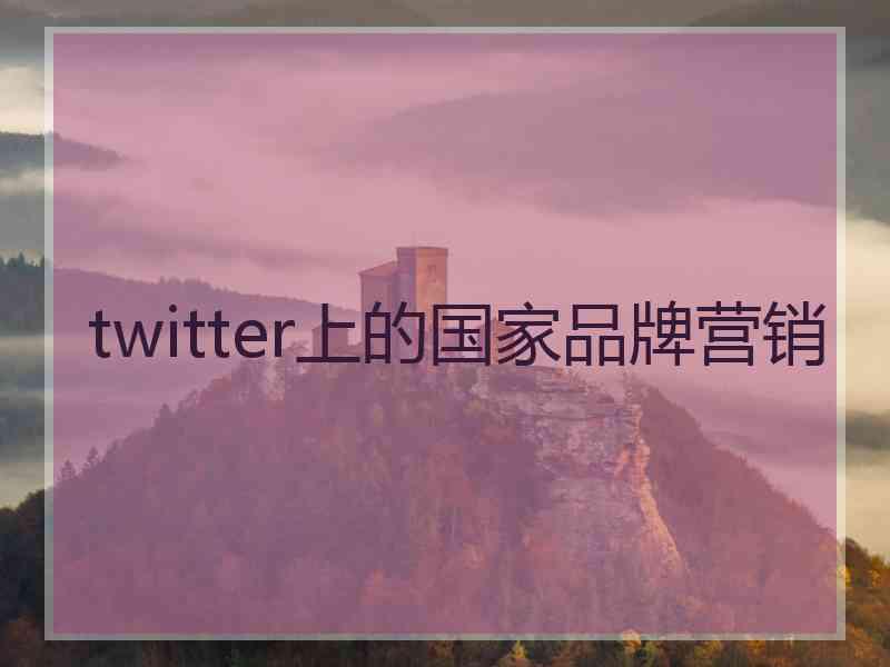 twitter上的国家品牌营销