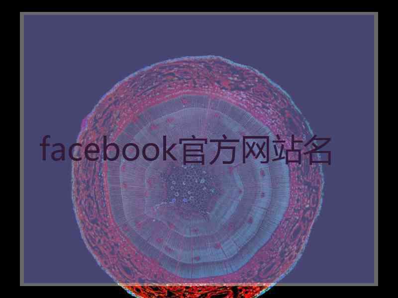 facebook官方网站名