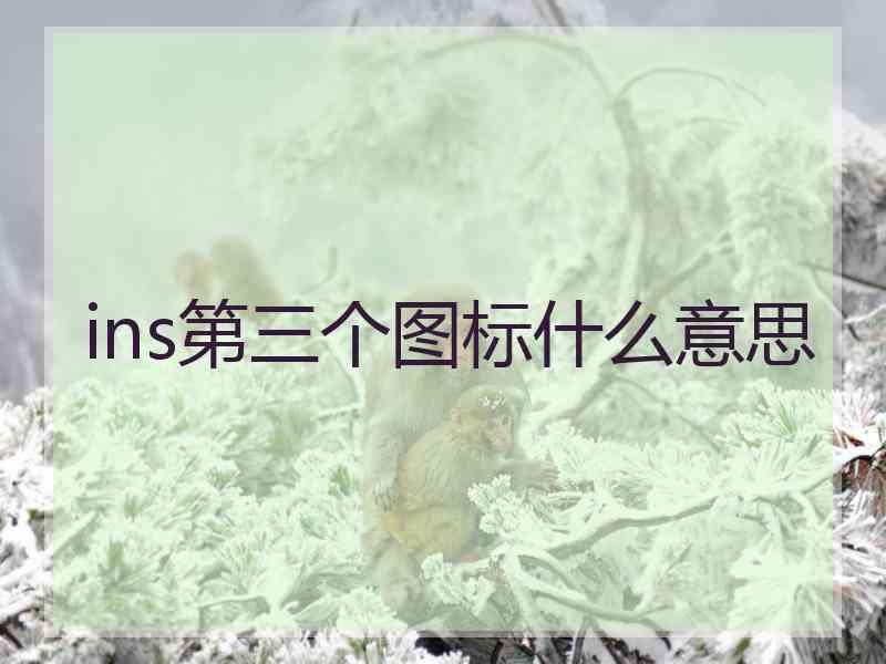 ins第三个图标什么意思