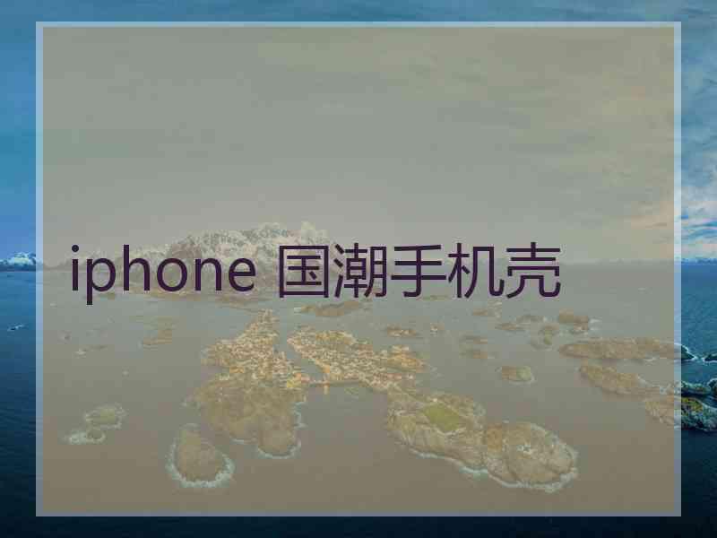 iphone 国潮手机壳