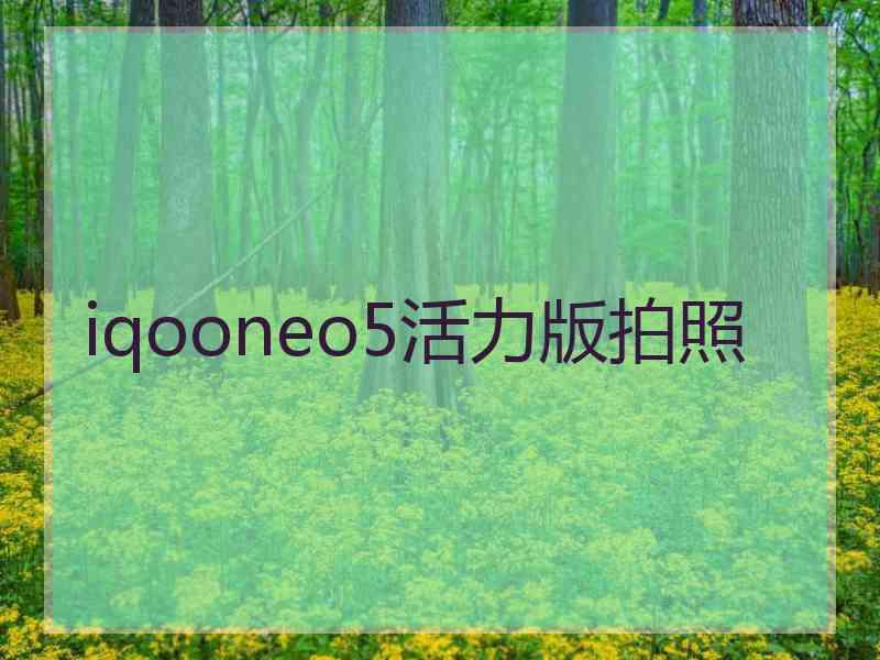 iqooneo5活力版拍照