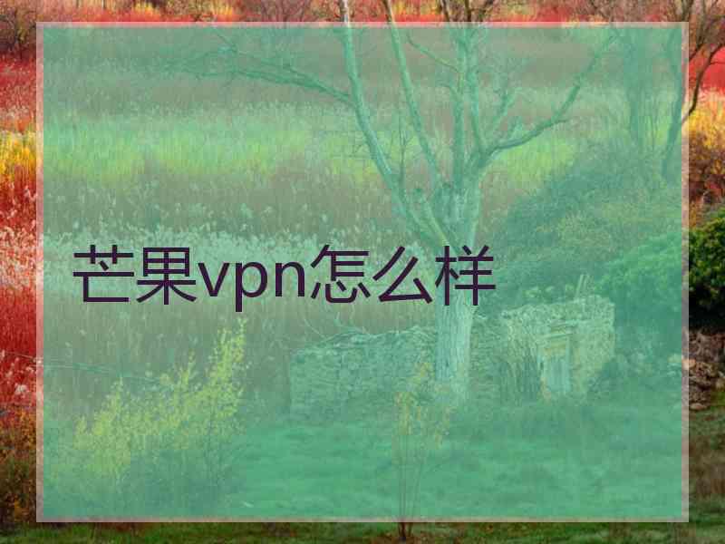 芒果vpn怎么样