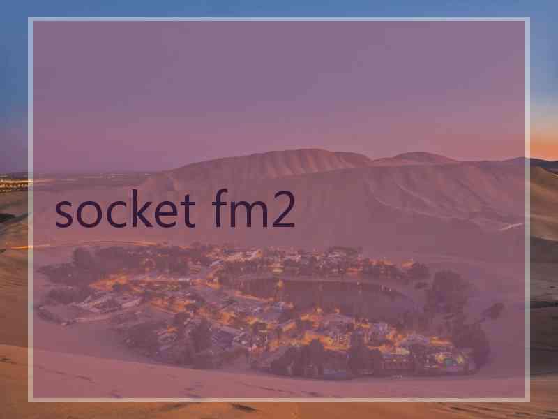 socket fm2