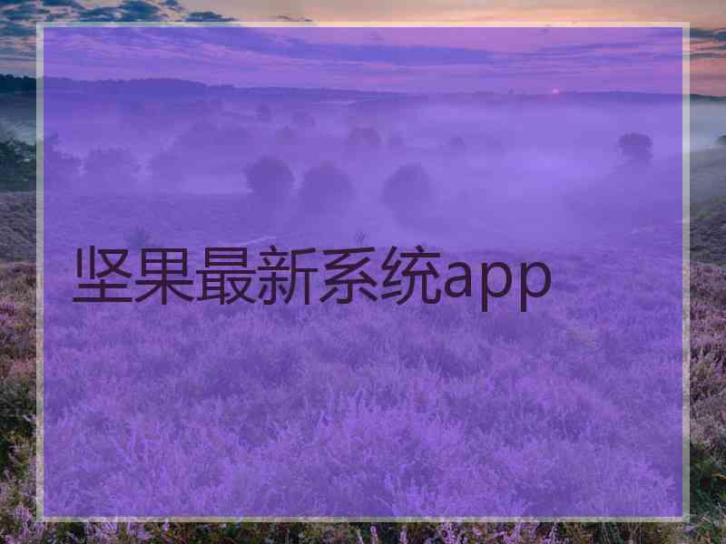 坚果最新系统app