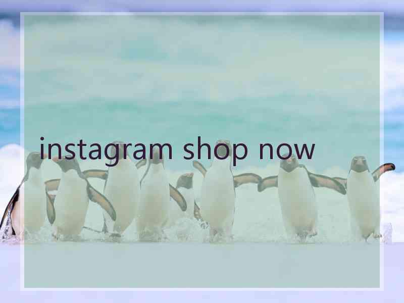 instagram shop now