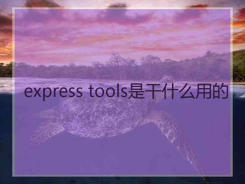 express tools是干什么用的