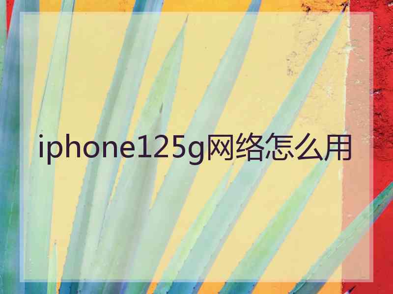 iphone125g网络怎么用