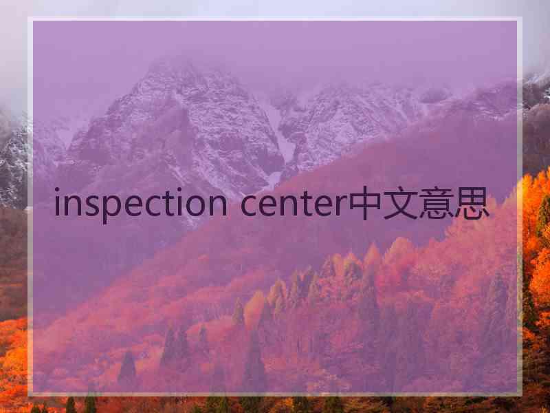 inspection center中文意思