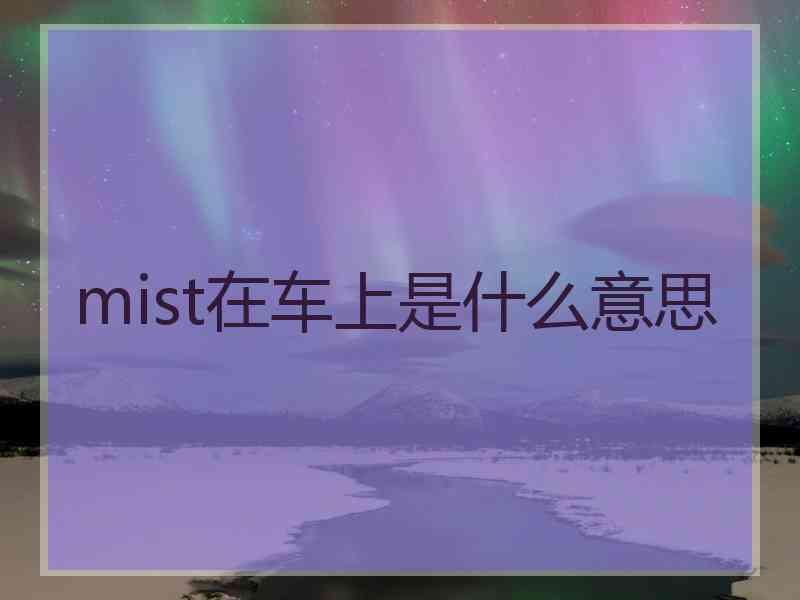 mist在车上是什么意思