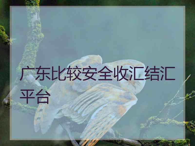 广东比较安全收汇结汇平台