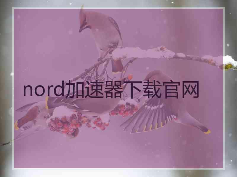 nord加速器下载官网