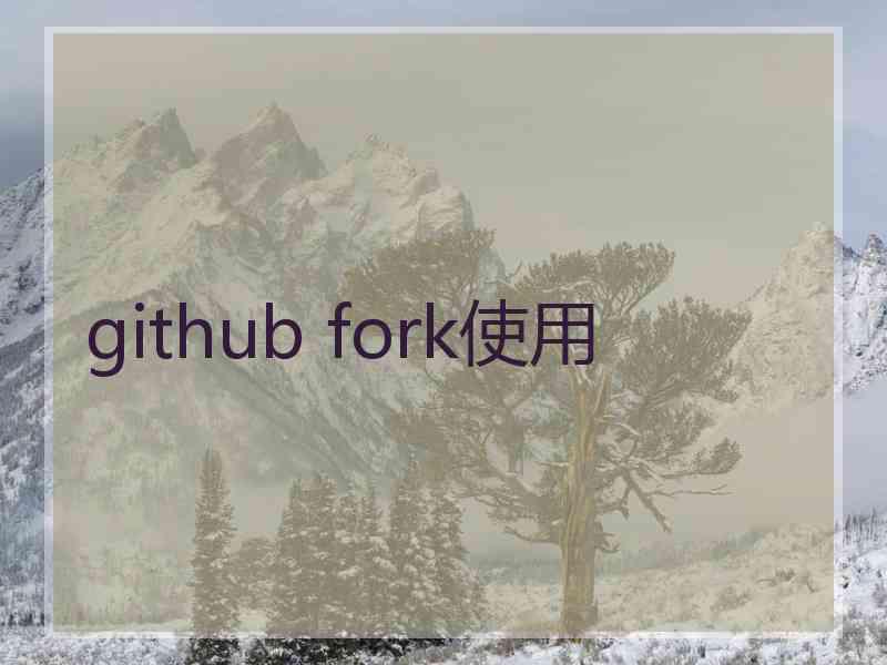 github fork使用