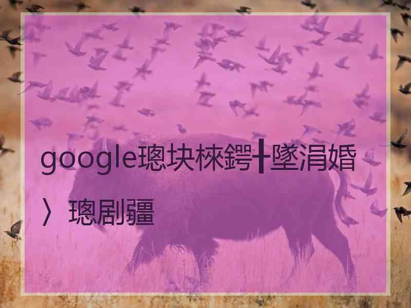 google璁块棶鍔╂墜涓婚〉璁剧疆