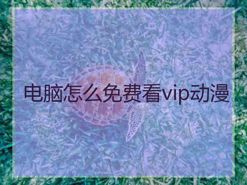 电脑怎么免费看vip动漫