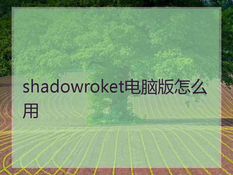 shadowroket电脑版怎么用