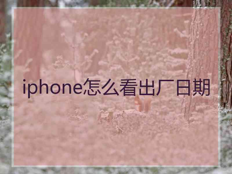 iphone怎么看出厂日期