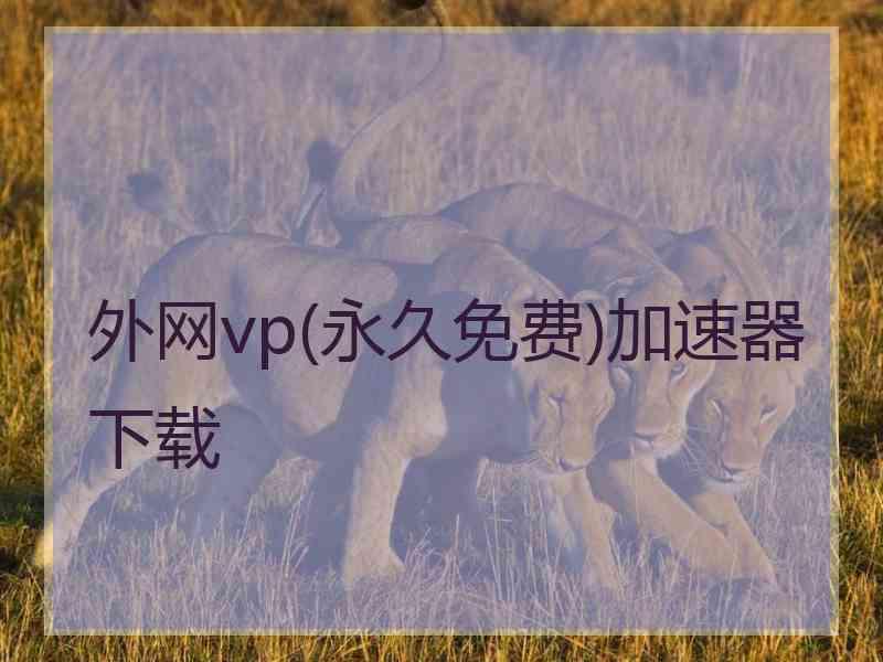 外网vp(永久免费)加速器下载