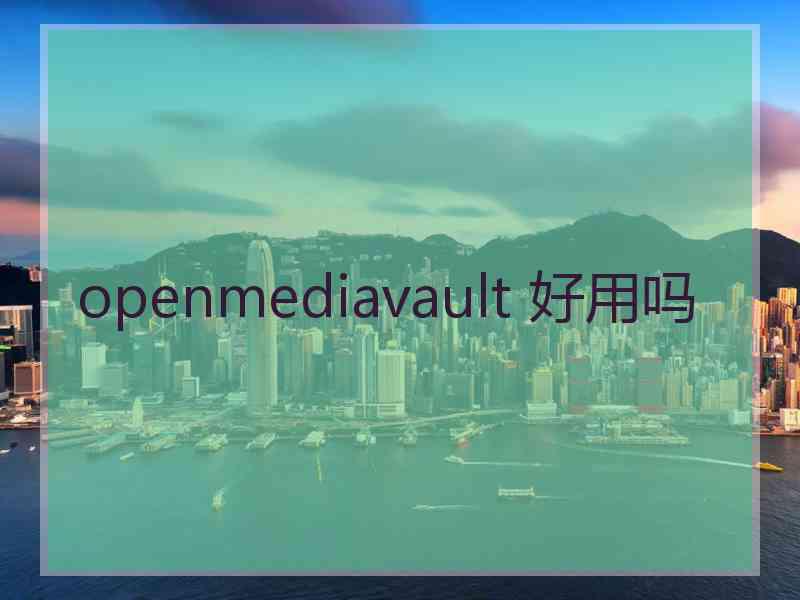 openmediavault 好用吗