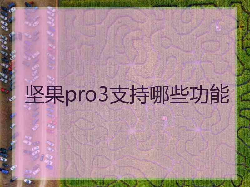 坚果pro3支持哪些功能