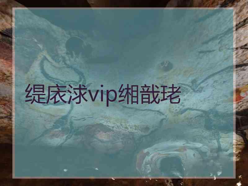 缇庡浗vip缃戠珯