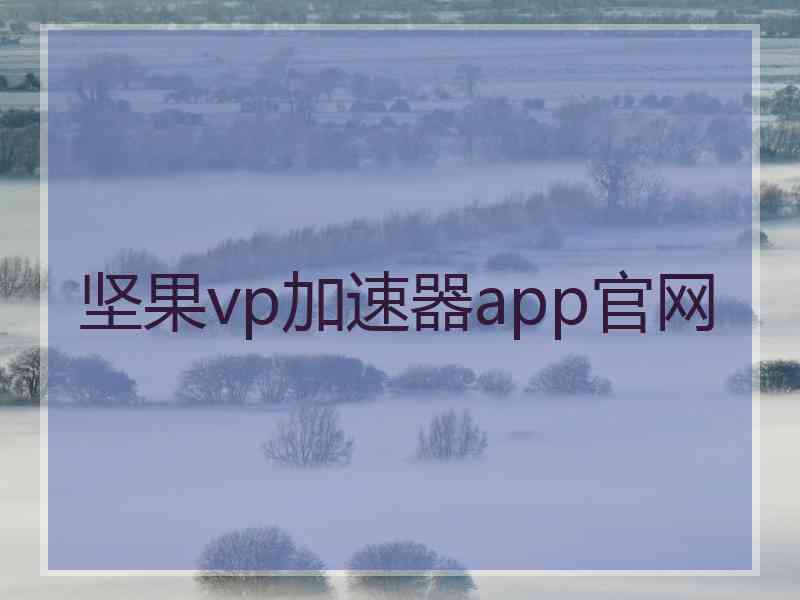 坚果vp加速器app官网