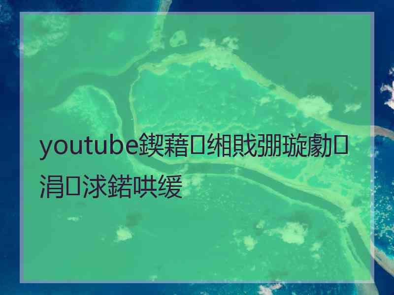 youtube鍥藉缃戝弸璇勮涓浗鍩哄缓