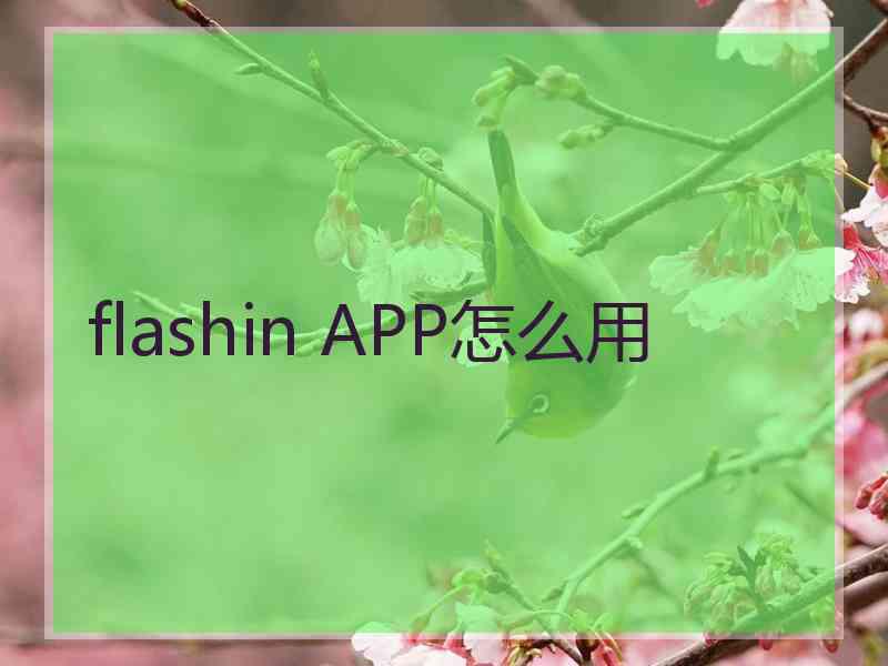 flashin APP怎么用