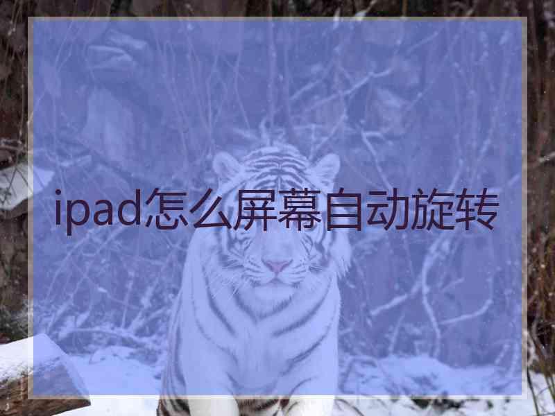 ipad怎么屏幕自动旋转