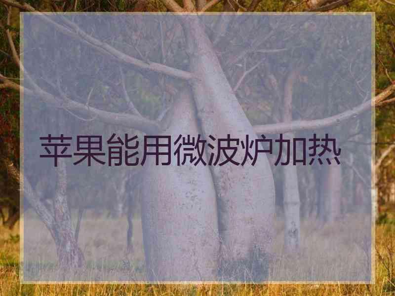 苹果能用微波炉加热