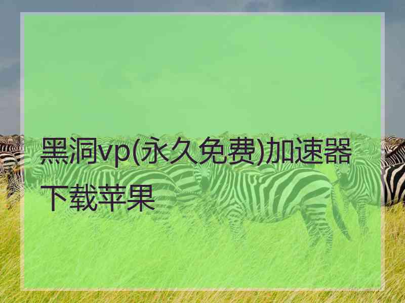 黑洞vp(永久免费)加速器下载苹果