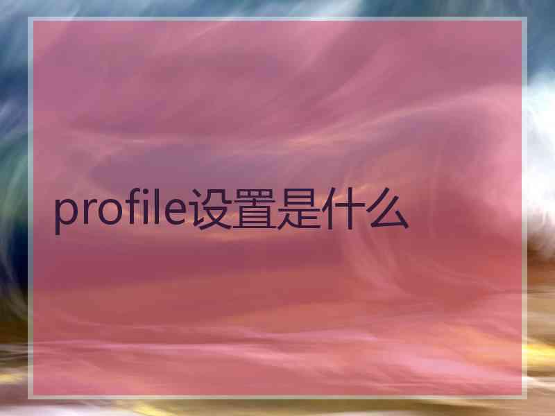 profile设置是什么