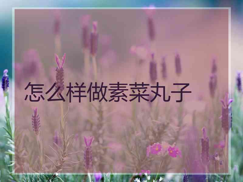 怎么样做素菜丸子