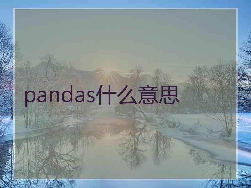 pandas什么意思