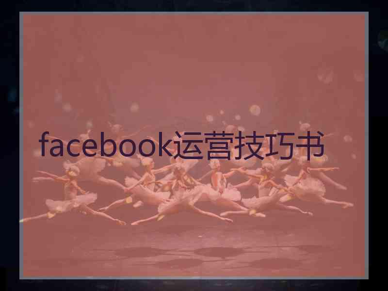 facebook运营技巧书