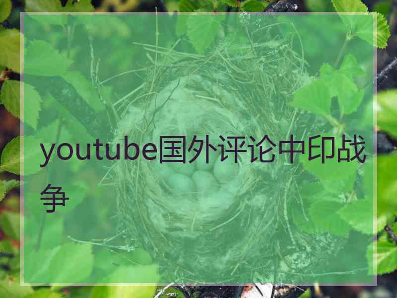 youtube国外评论中印战争