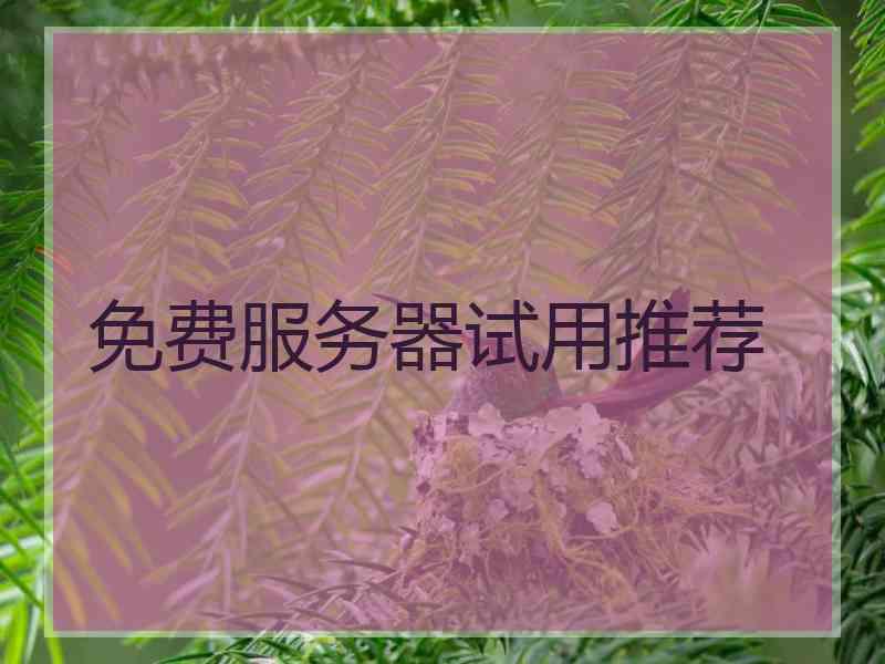 免费服务器试用推荐