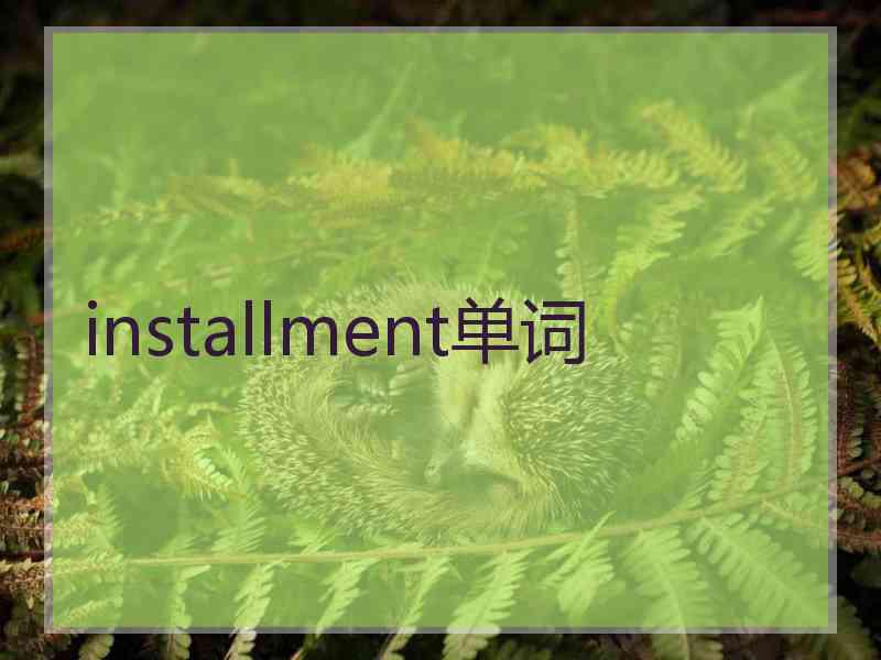 installment单词