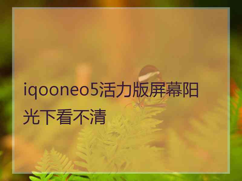 iqooneo5活力版屏幕阳光下看不清