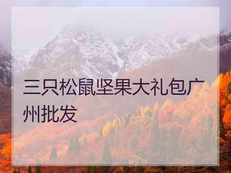 三只松鼠坚果大礼包广州批发