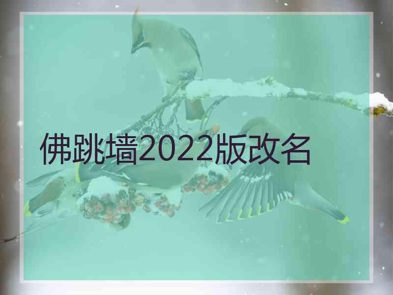 佛跳墙2022版改名