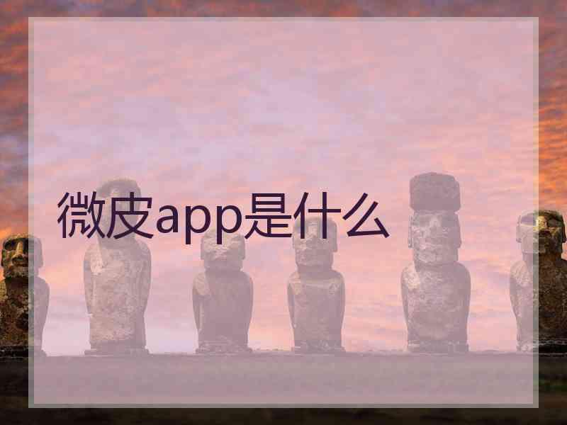 微皮app是什么