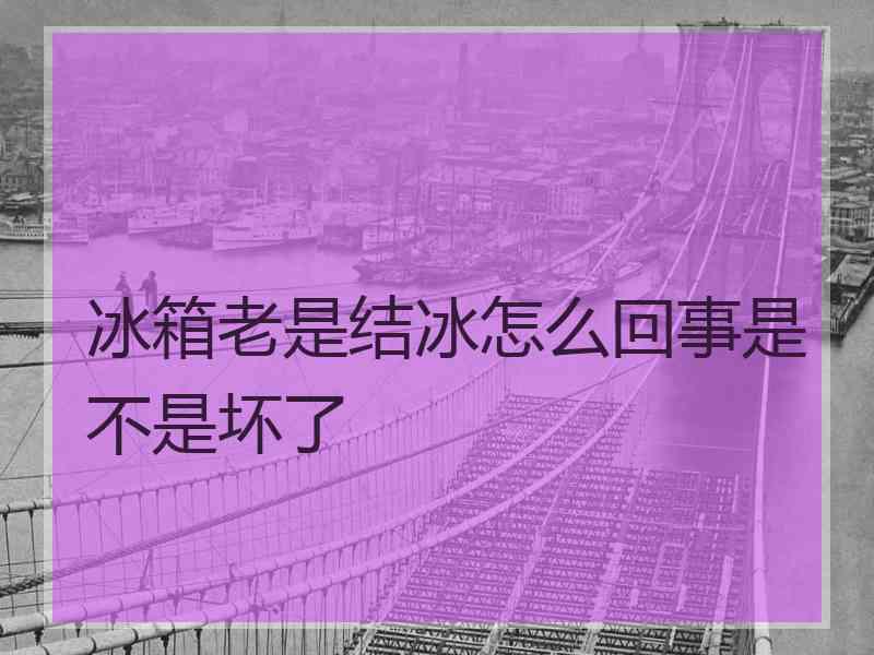 冰箱老是结冰怎么回事是不是坏了